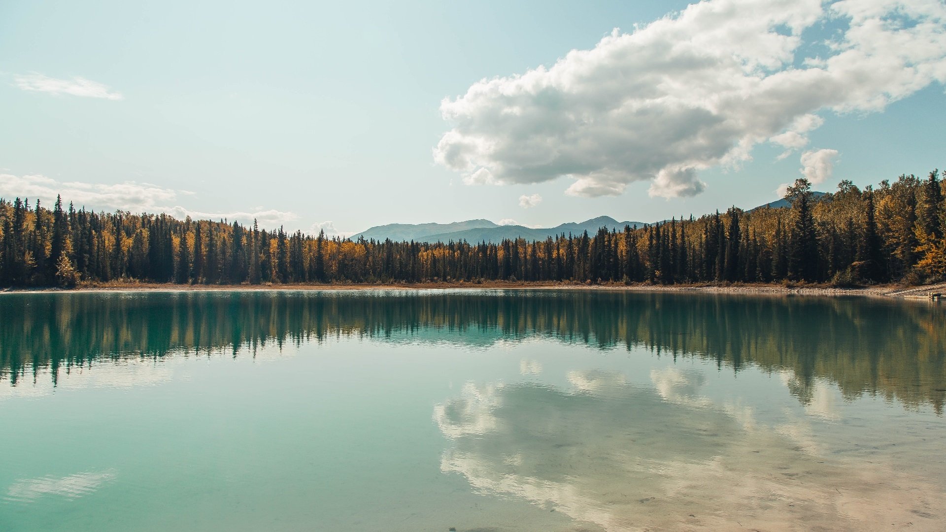 奥运备战全面展开各项准备就绪，全力备战奥运会