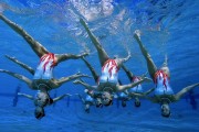 黑马中国游泳选手破世界青年纪录，中国游泳18个世界冠军榜